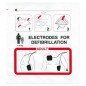 Electrodes adultes Schiller FRED EASY