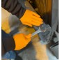 GANT NITRILE ORANGE NON POUDRE